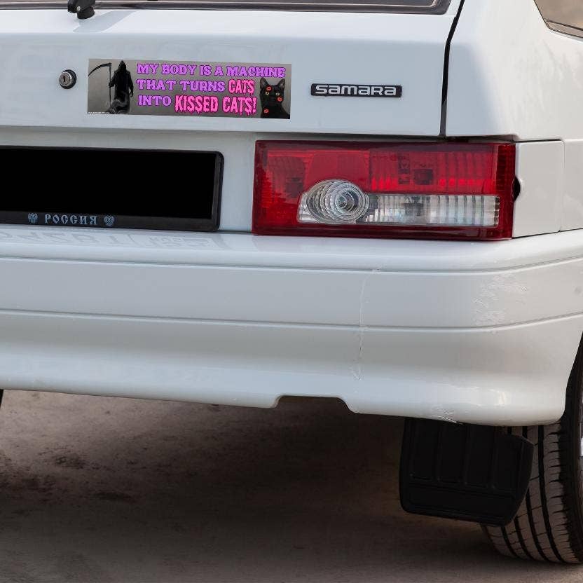 My body is a machine that turns CATS into KISSED CATS Bumper Magnet