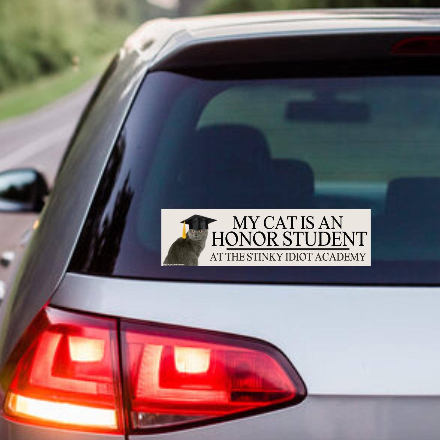 My Cat is an Honor Student at the Stinky Idiot Academy Bumper Magnet