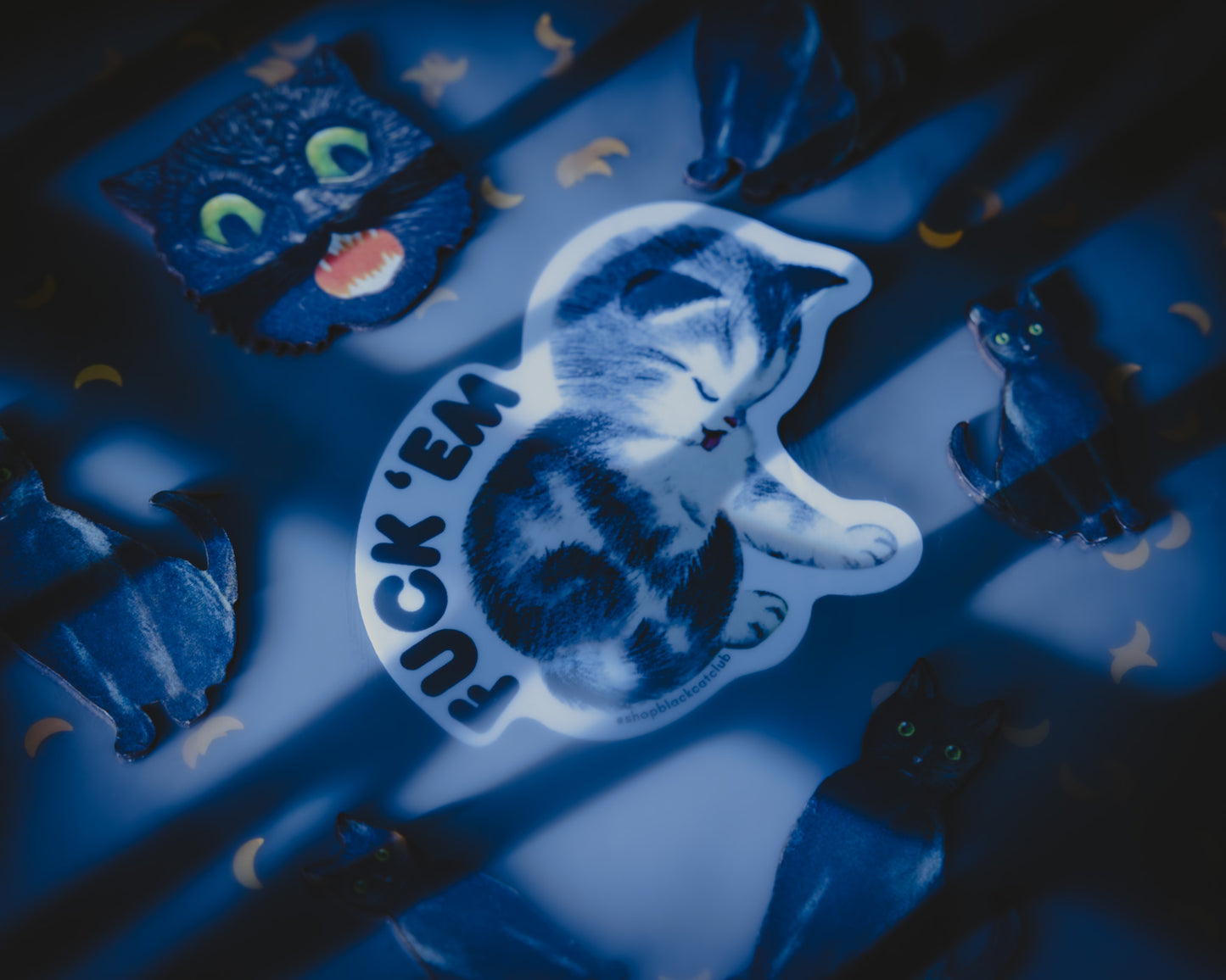 This image features a striking 3-inch sticker with the phrase "Fuck 'Em"