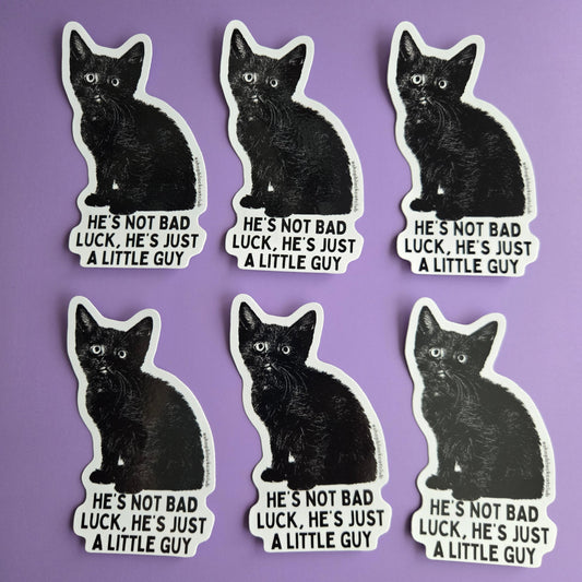 Black cat stickers with 'he's not bad luck he's just a little guy' text displayed on a purple background