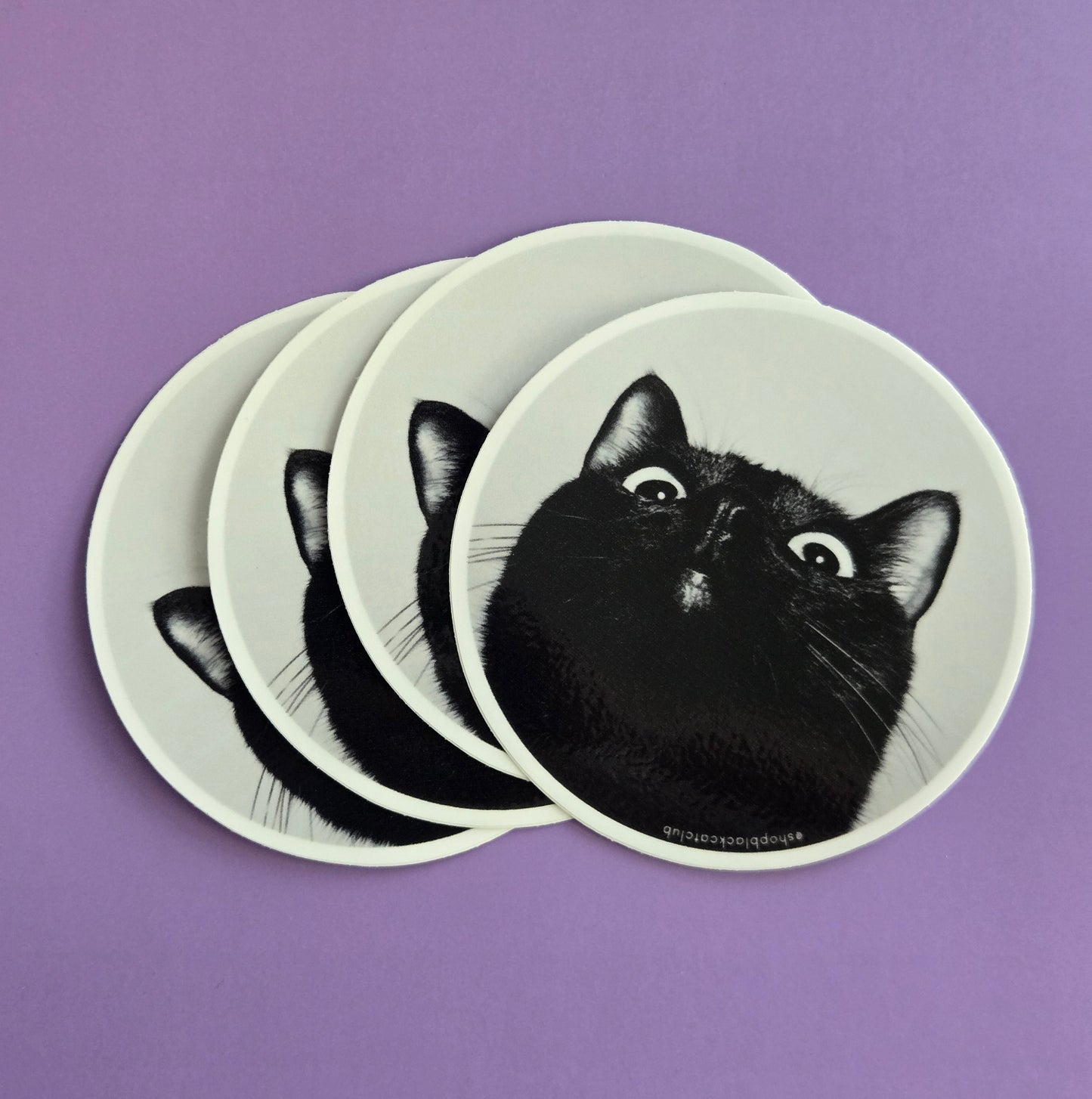 Derpy Cat Sticker 3" Circle