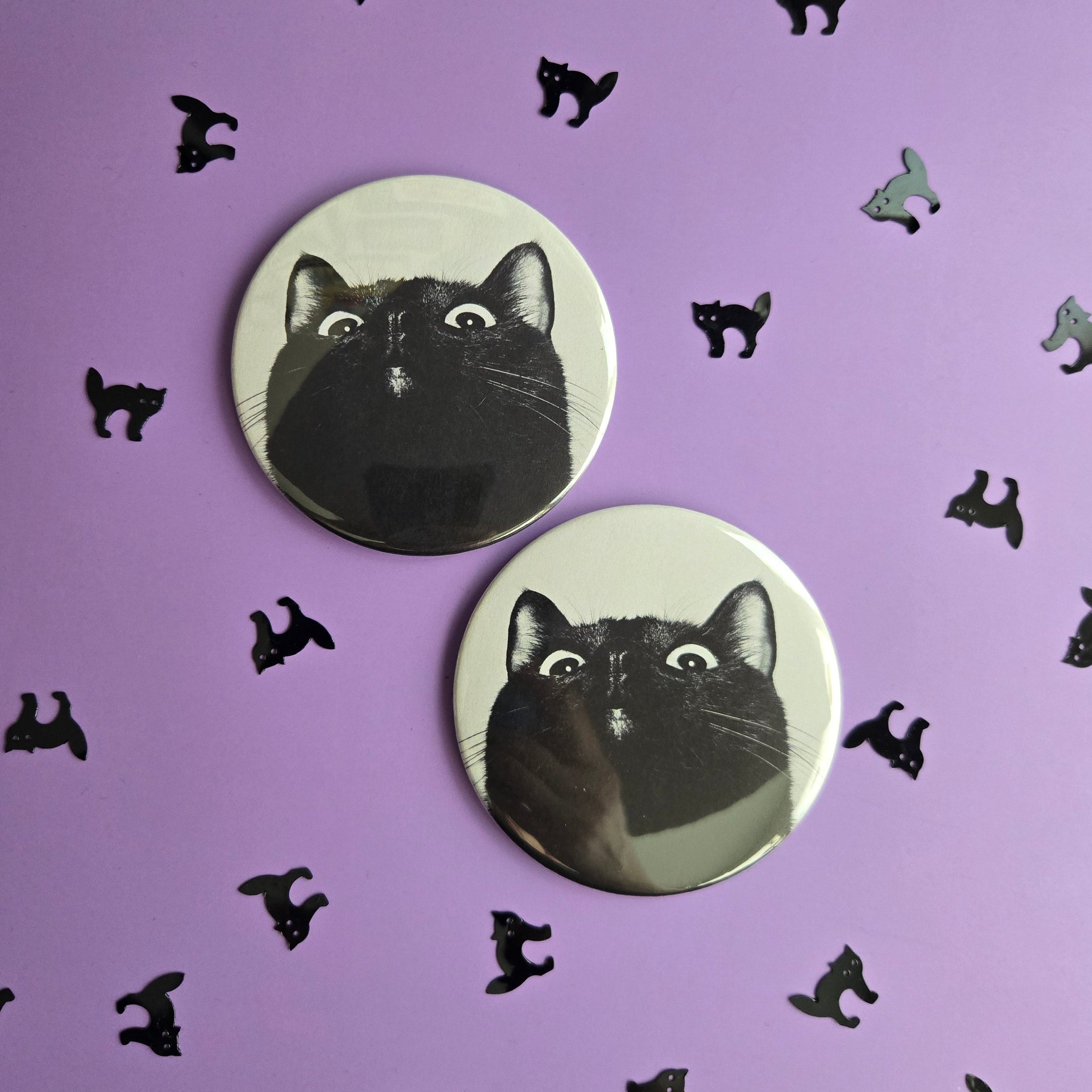 Home – Black Cat Club