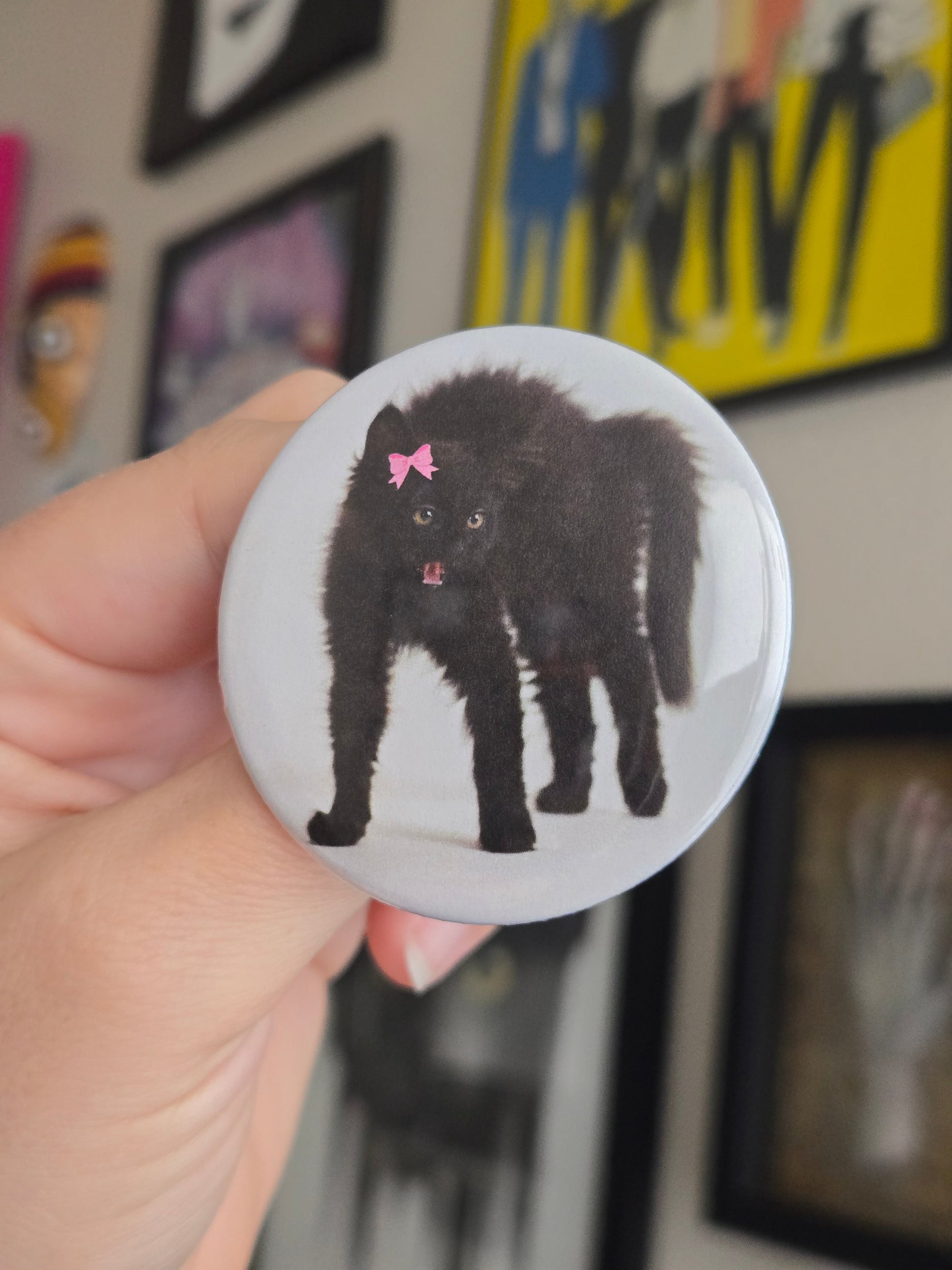 Button badge with a black cat illustration held by a hand against a colorful background.