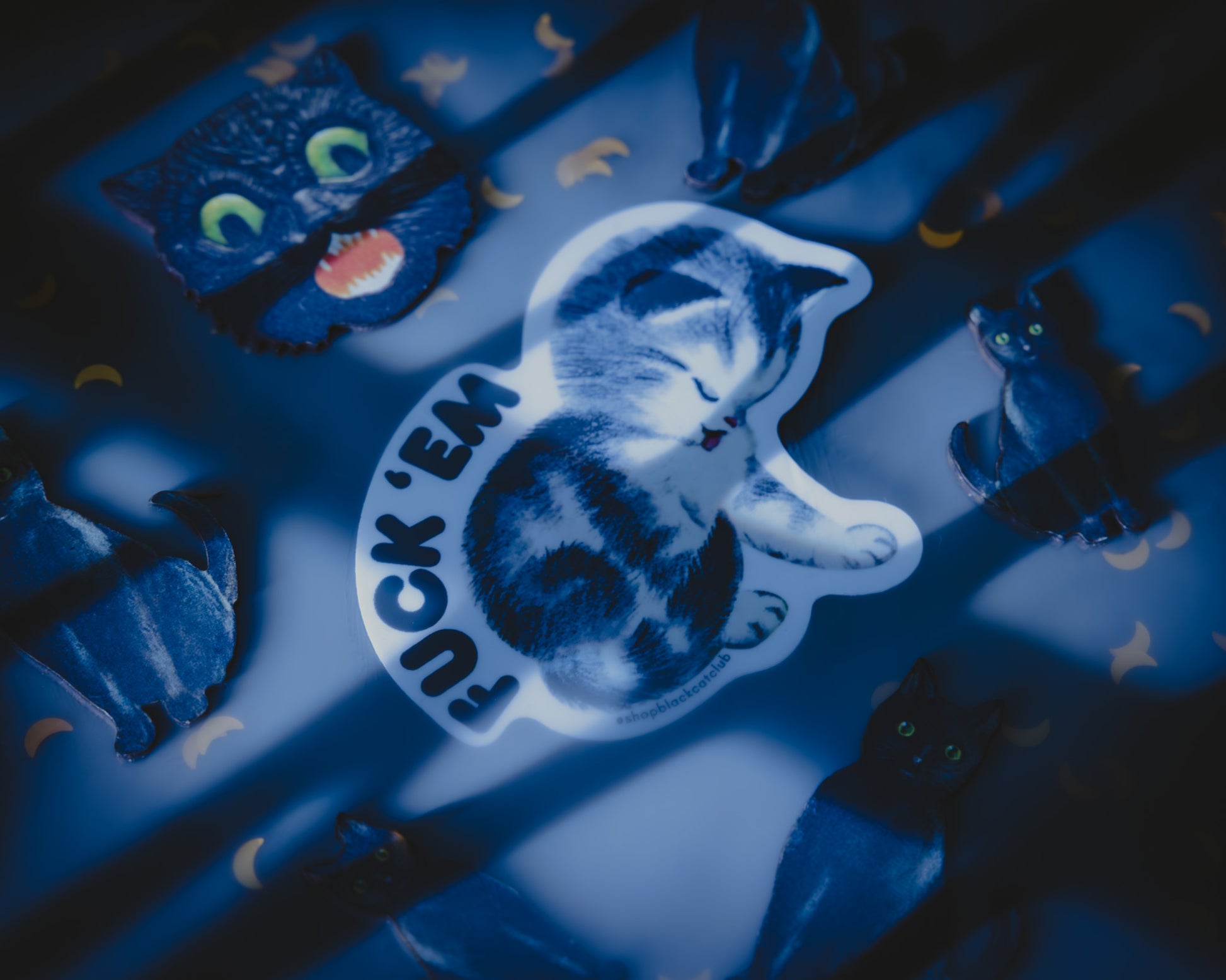 This image features a striking 3-inch sticker with the phrase "Fuck 'Em"