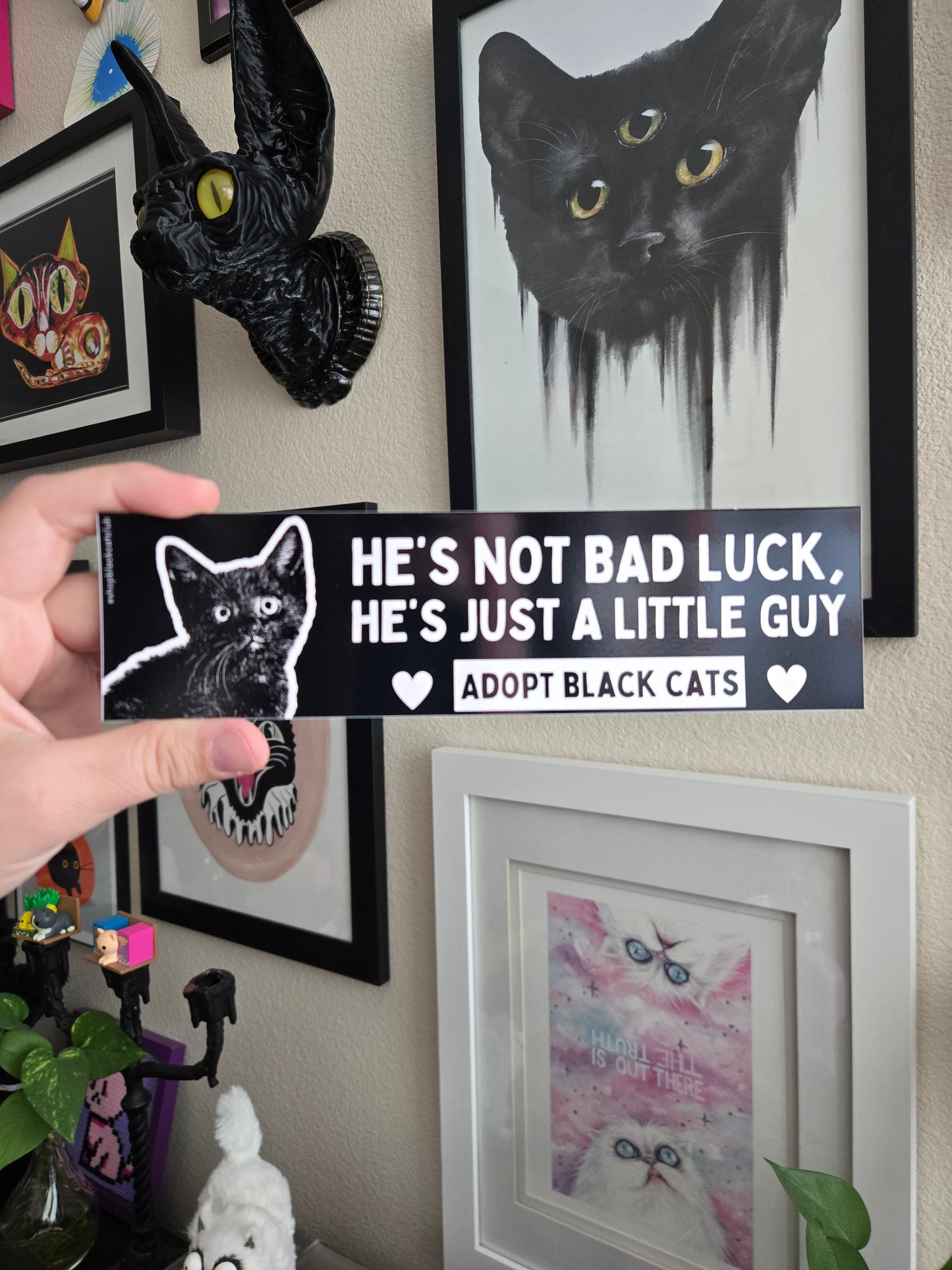 Person holding a black and white rectangular bumper magnet featuring a black cat with the text 'HE'S NOT BAD LUCK, HE'S JUST A LITTLE Guy. ADOPT BLACK CATS.' Displayed on a purple background  