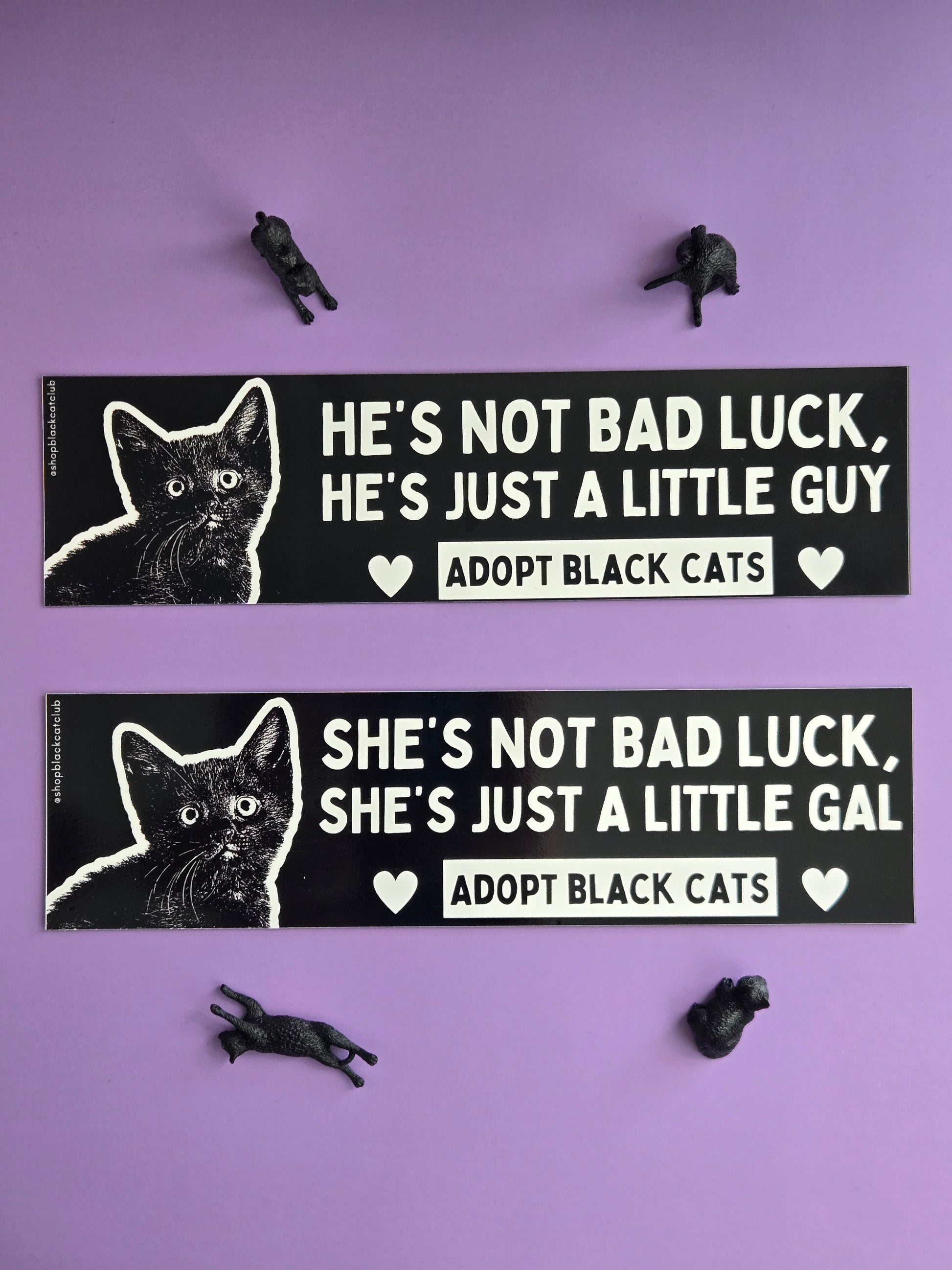Two black and white rectangular bumper magnets featuring a black cat with the text 'HE'S NOT BAD LUCK, HE'S JUST A LITTLE GUY. ADOPT BLACK CATS.' Displayed on a purple background  