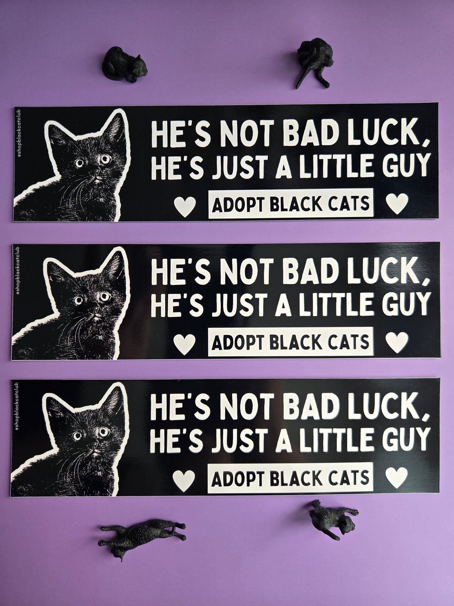 Three black and white rectangular bumper magnets featuring a black cat with the text 'HE'S NOT BAD LUCK, HE'S JUST A LITTLE Guy. ADOPT BLACK CATS.' Displayed on a purple background  