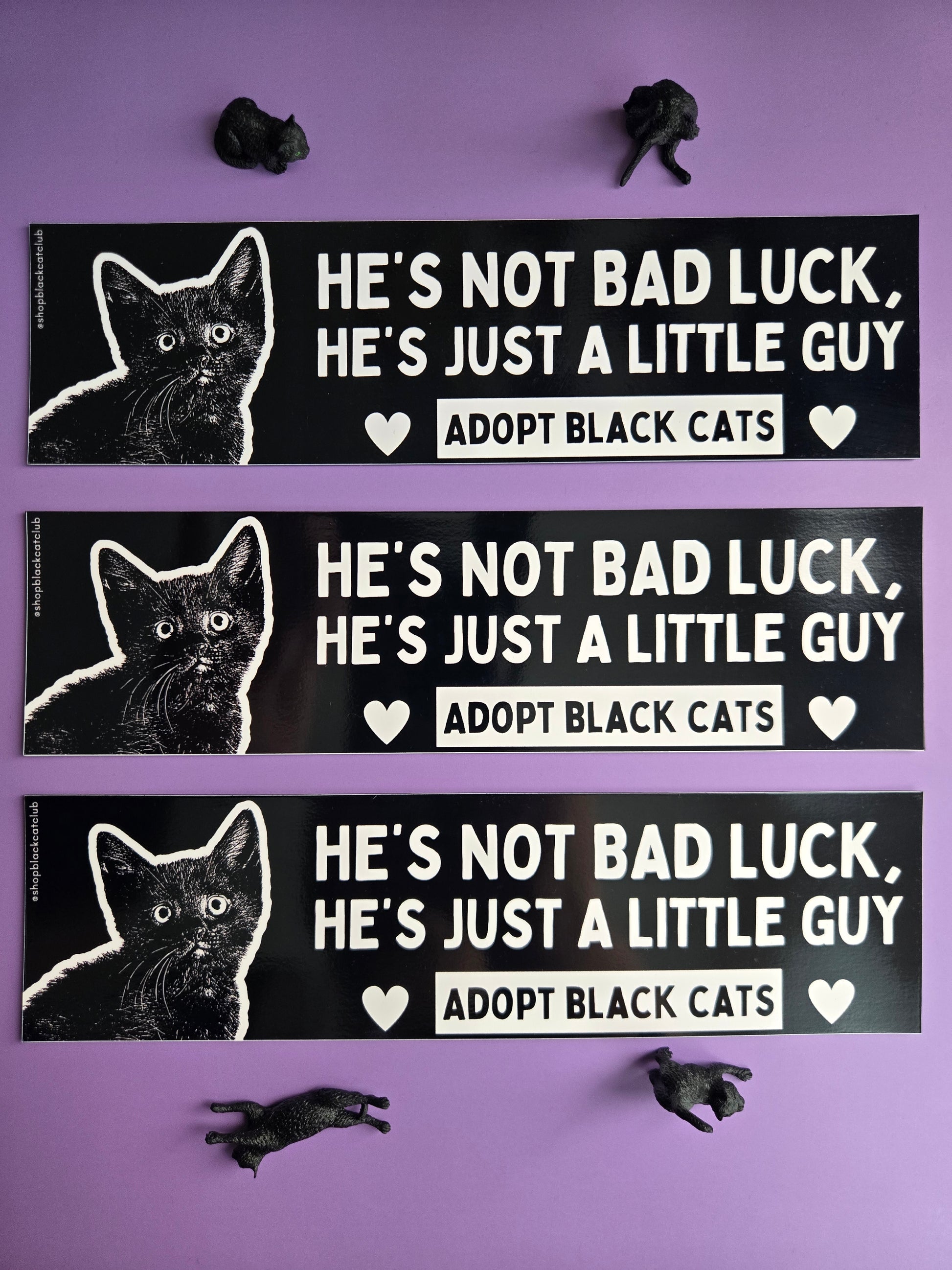 Three black and white rectangular bumper magnets featuring a black cat with the text 'HE'S NOT BAD LUCK, HE'S JUST A LITTLE Guy. ADOPT BLACK CATS.' Displayed on a purple background  