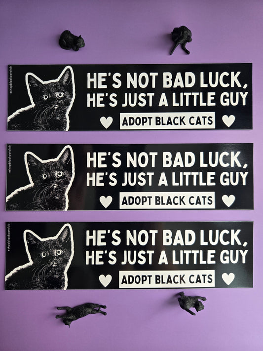Just a Little Guy Bumper Magnet 8.5"x2.25"