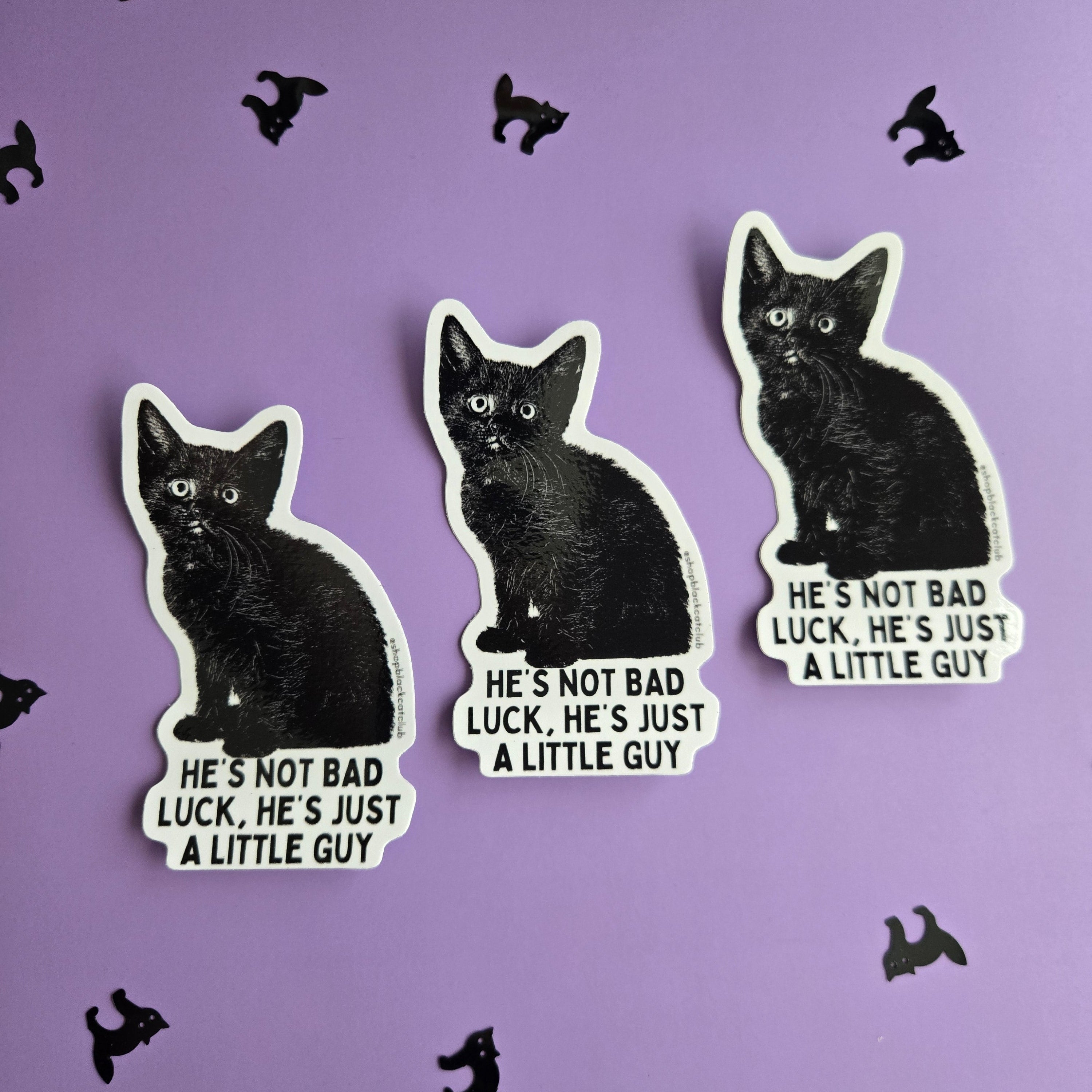 Black Cat Club - Shop Now and Join the Club!
