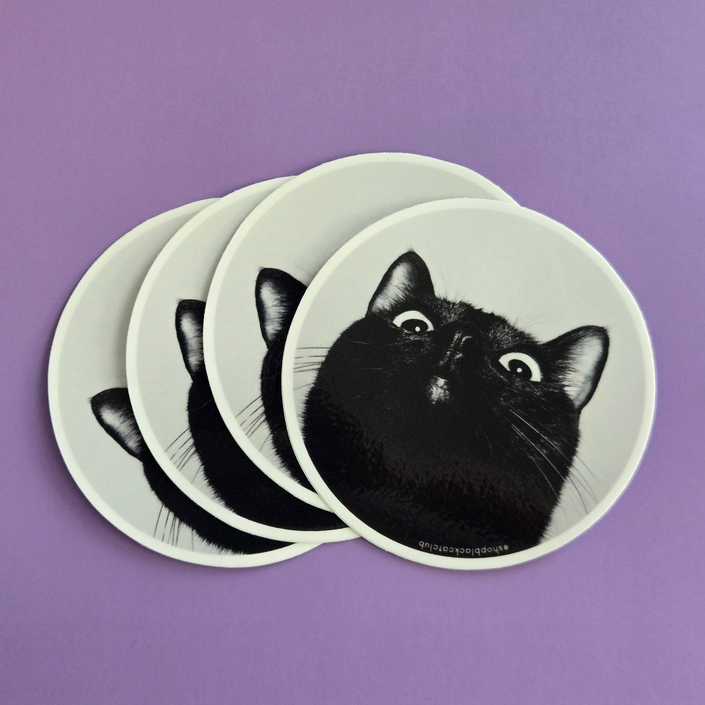 Derpy Cat Sticker 3" Circle