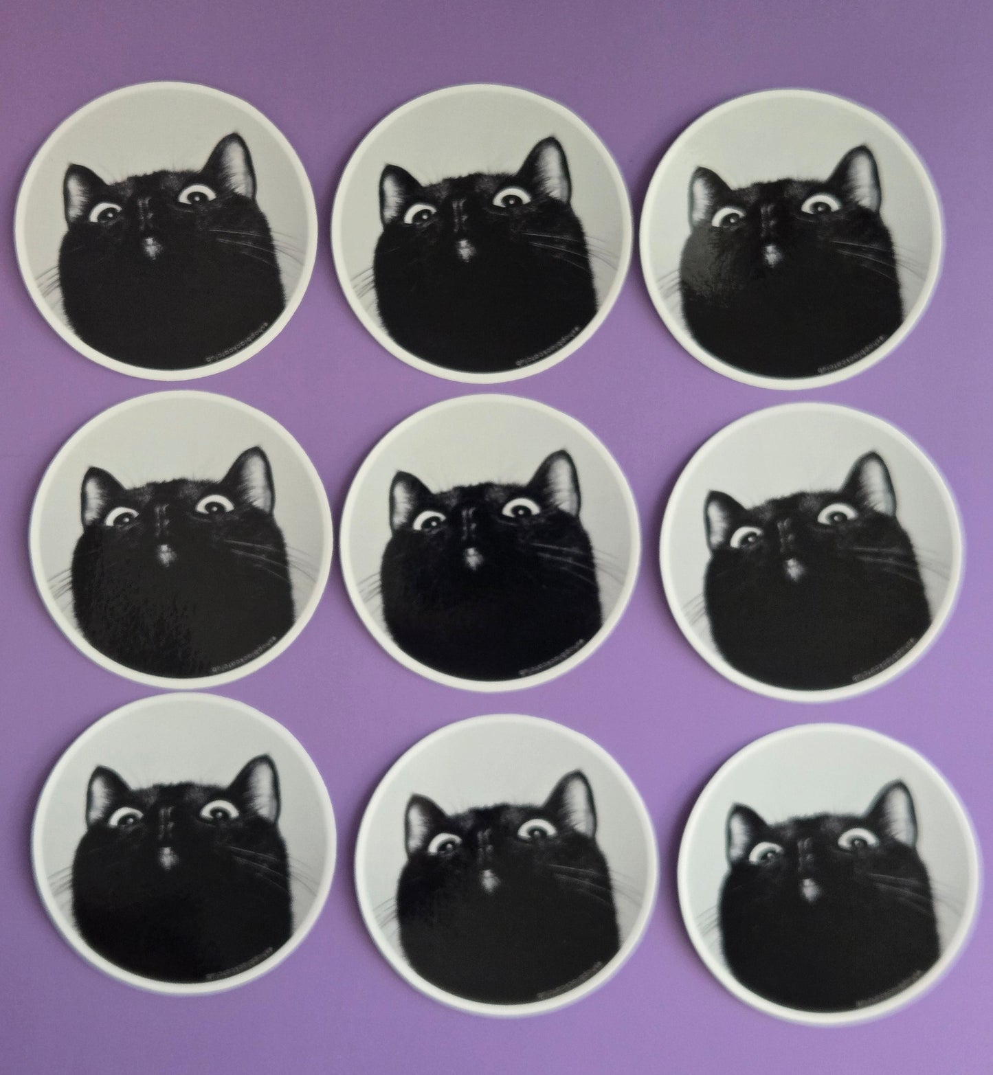 Derpy Cat Sticker 3" Circle
