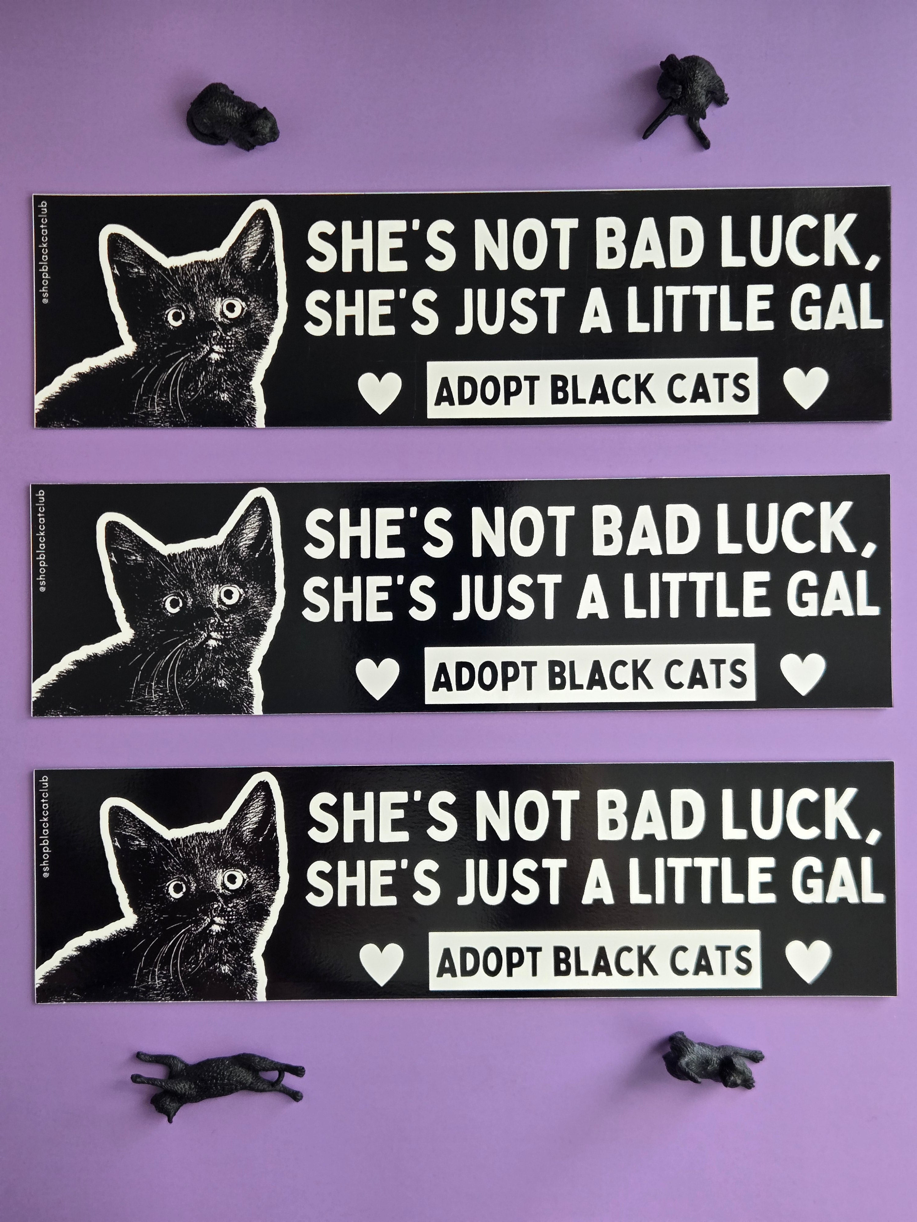 Black Cat Club - Shop Now and Join the Club!