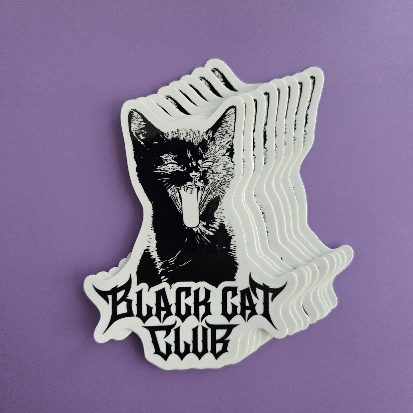 Black Cat Club Hissing Kitten Logo Sticker 3"