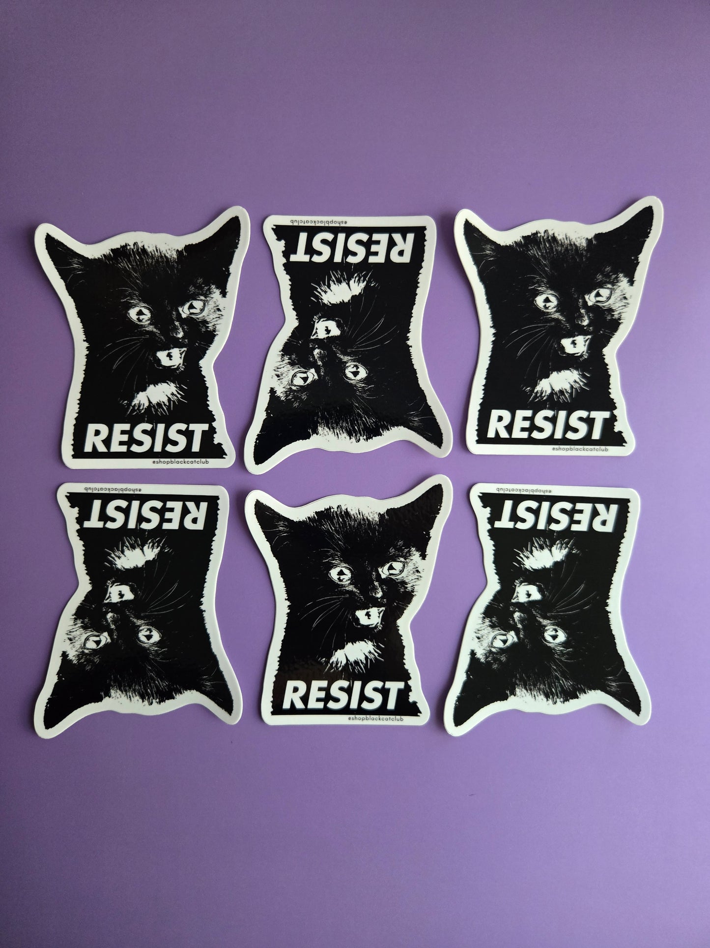 Resist Kitten Sticker 3"
