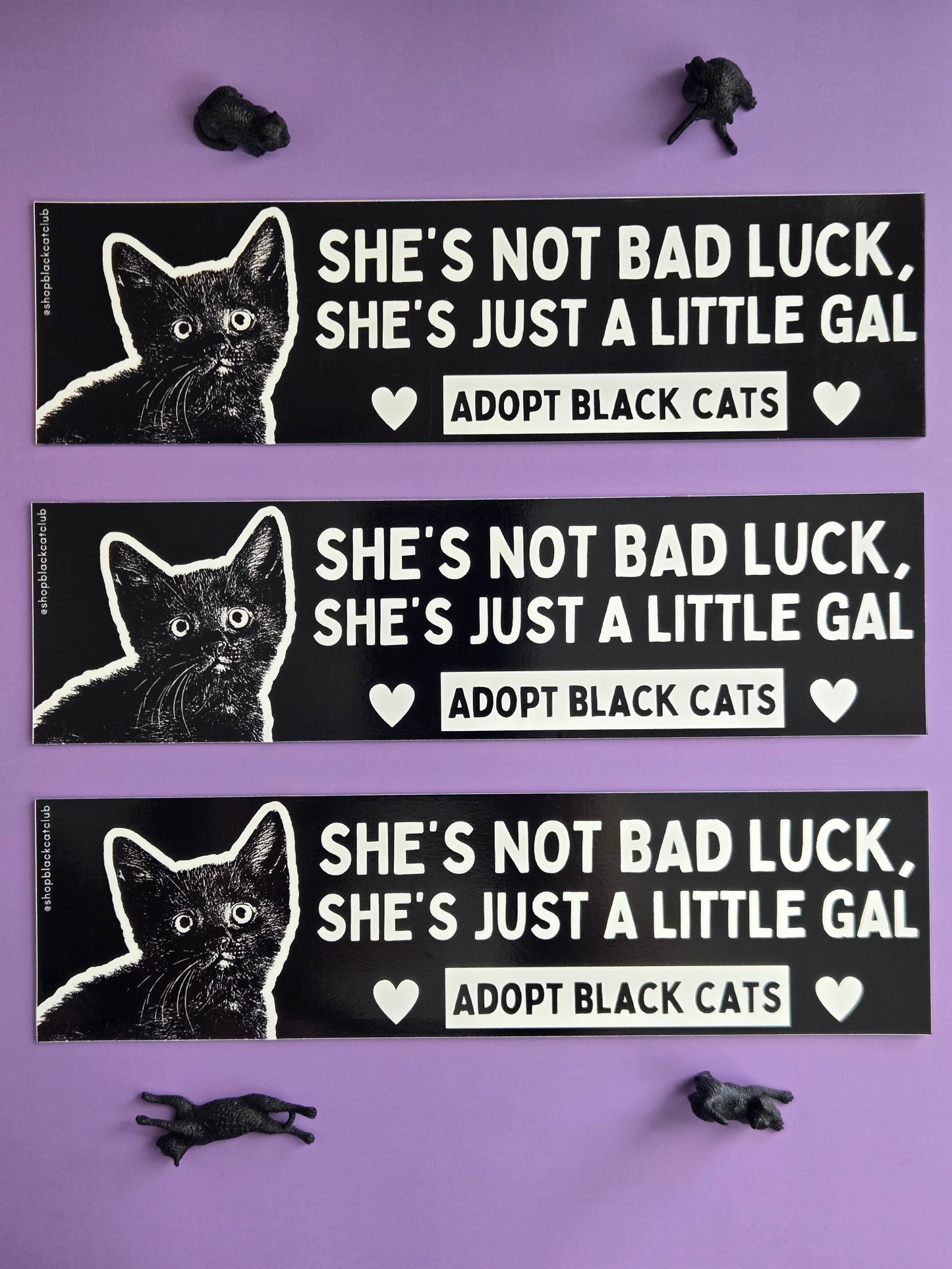 Three black and white rectangular bumper magnets featuring a black cat with the text 'SHE'S NOT BAD LUCK, SHE'S JUST A LITTLE GAL. ADOPT BLACK CATS.' Displayed on a purple background  