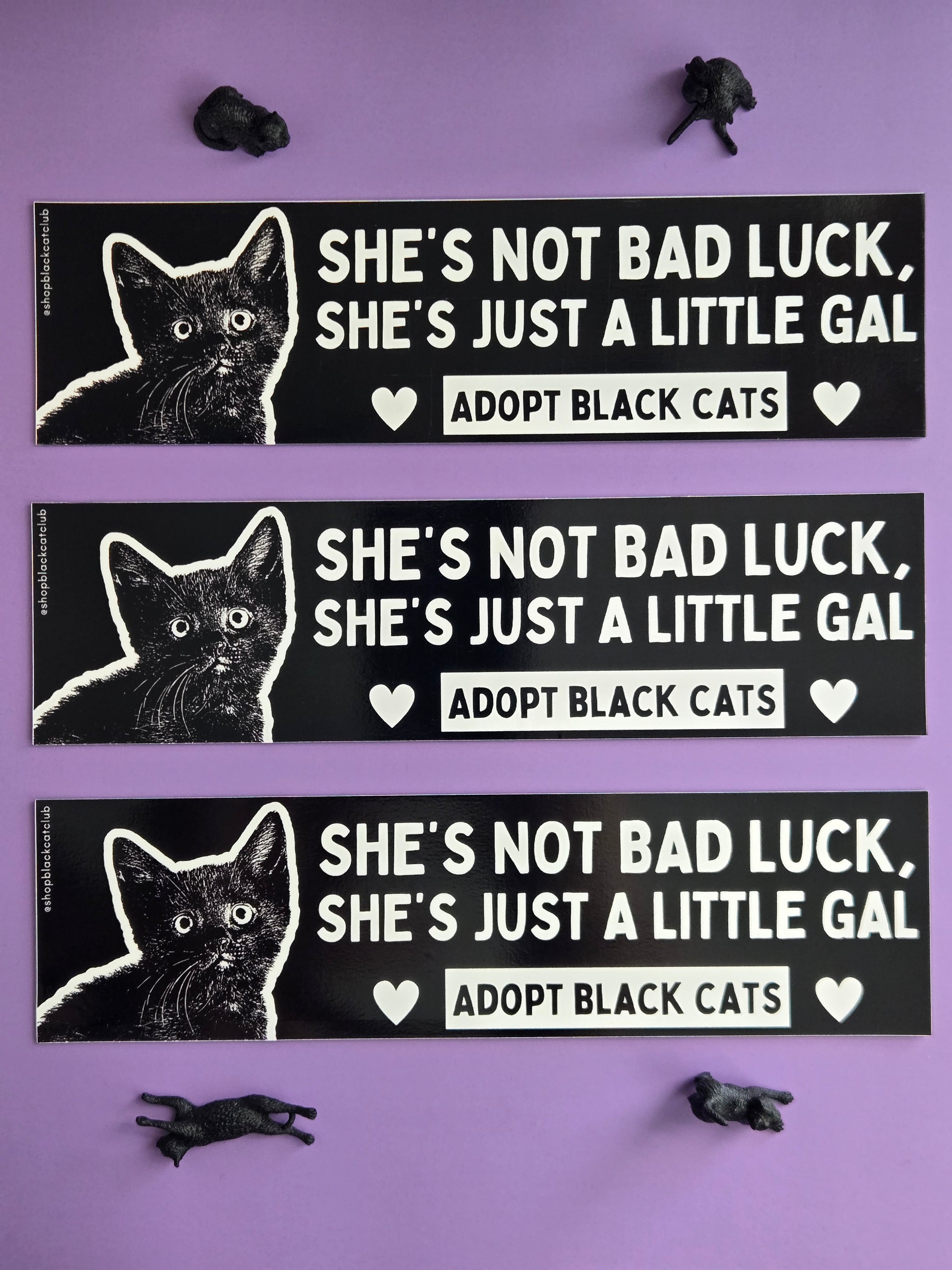 Three black and white rectangular bumper magnets featuring a black cat with the text 'SHE'S NOT BAD LUCK, SHE'S JUST A LITTLE GAL. ADOPT BLACK CATS.' Displayed on a purple background  