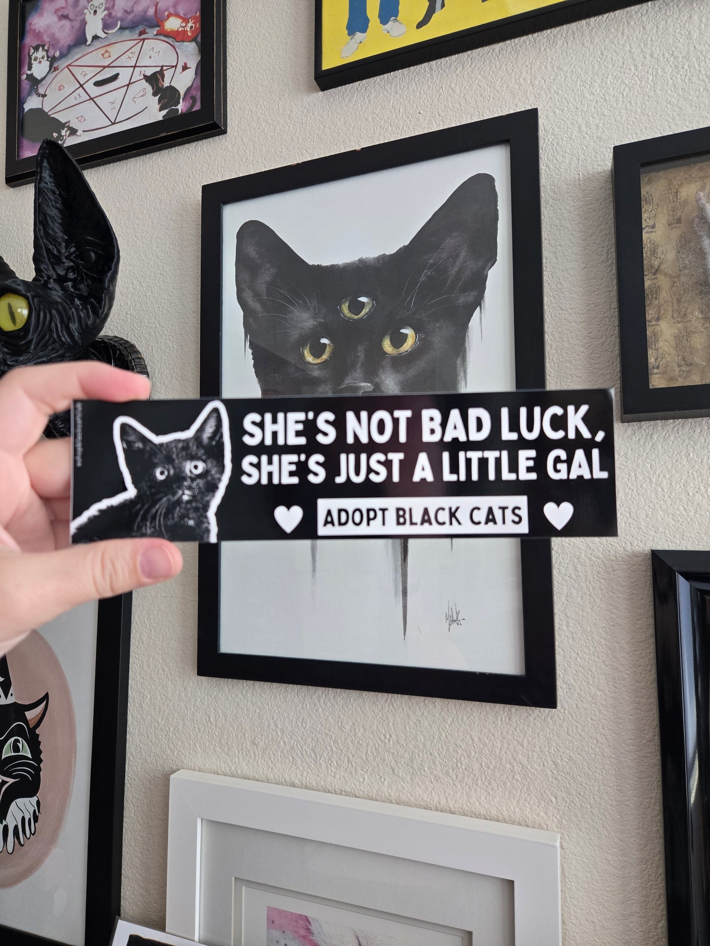 Person holding black and white rectangular bumper magnet featuring a black cat with the text 'SHE'S NOT BAD LUCK, SHE'S JUST A LITTLE GAL. ADOPT BLACK CATS.' Displayed on a purple background  