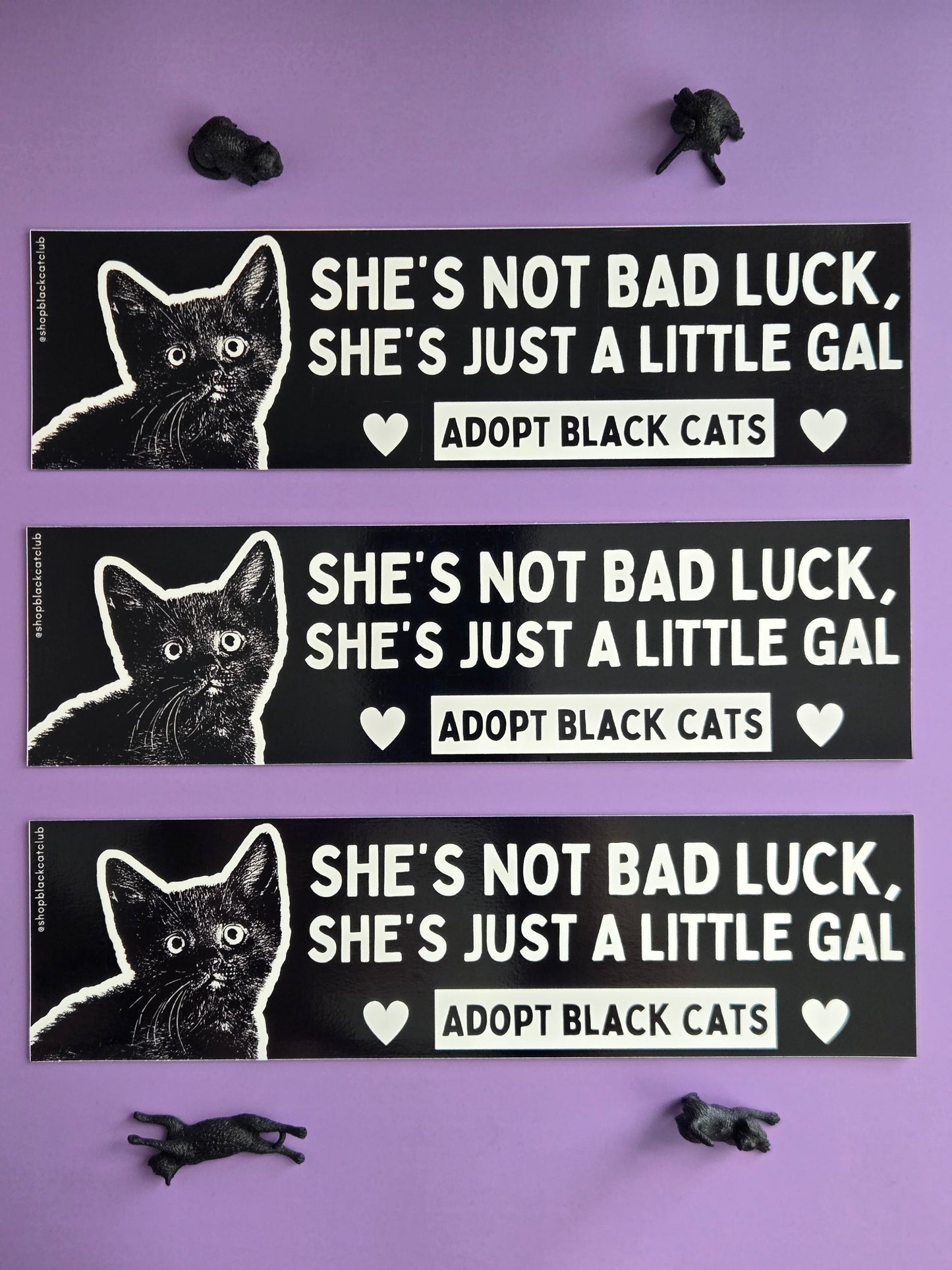 Three black and white rectangular bumper magnets featuring a black cat with the text 'SHE'S NOT BAD LUCK, SHE'S JUST A LITTLE GAL. ADOPT BLACK CATS.' Displayed on a purple background  
