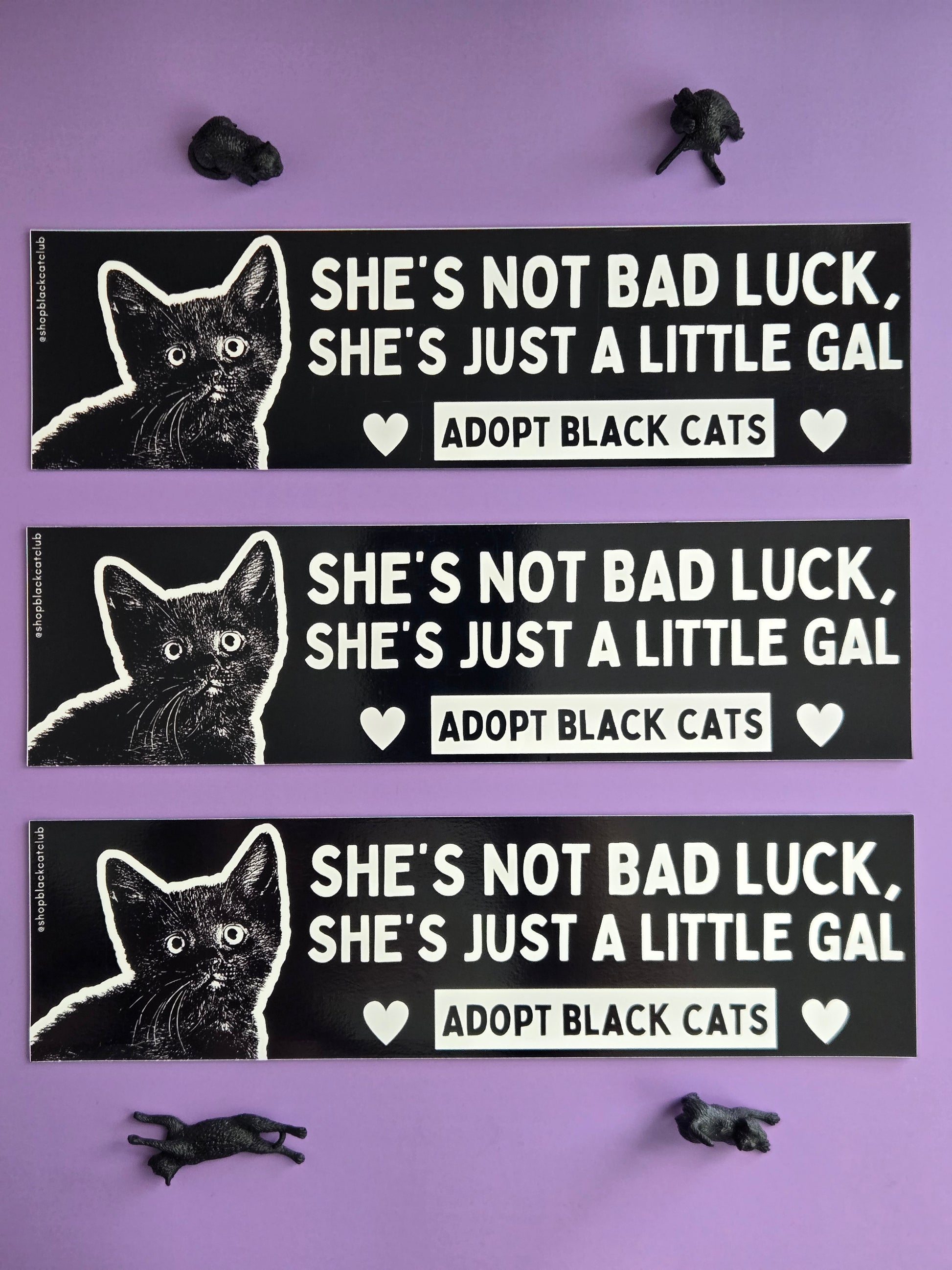 Three black and white rectangular bumper magnets featuring a black cat with the text 'SHE'S NOT BAD LUCK, SHE'S JUST A LITTLE GAL. ADOPT BLACK CATS.' Displayed on a purple background  