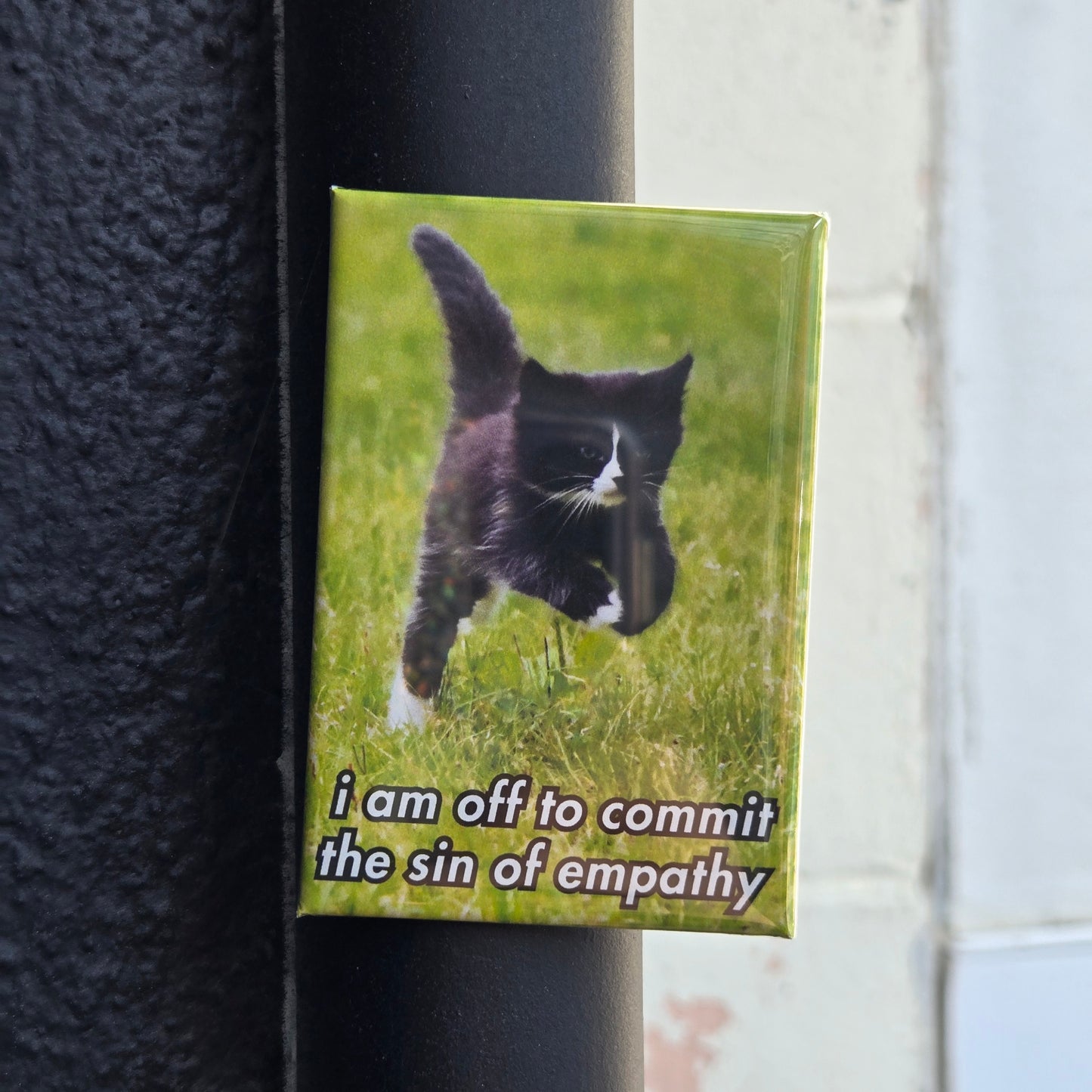 A fridge magnet featuring a black cat running on grass with the text 'i am off to commit the sin of empathy'.