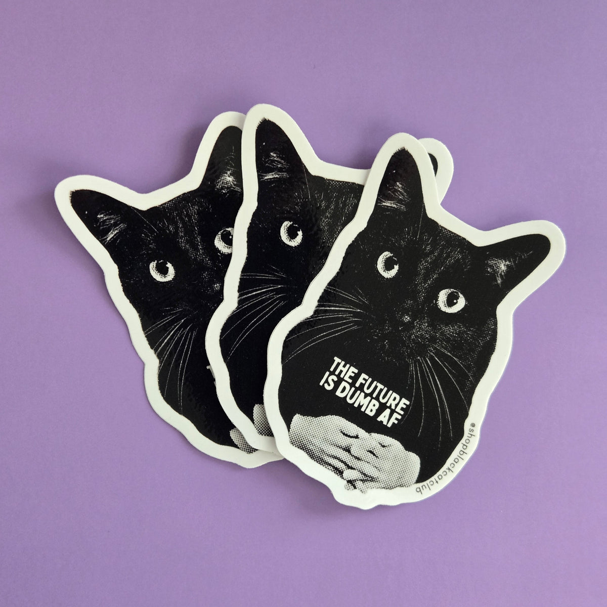 Black cat-shaped sticker with text 'THE FUTURE IS DUMB AF" on a purple background