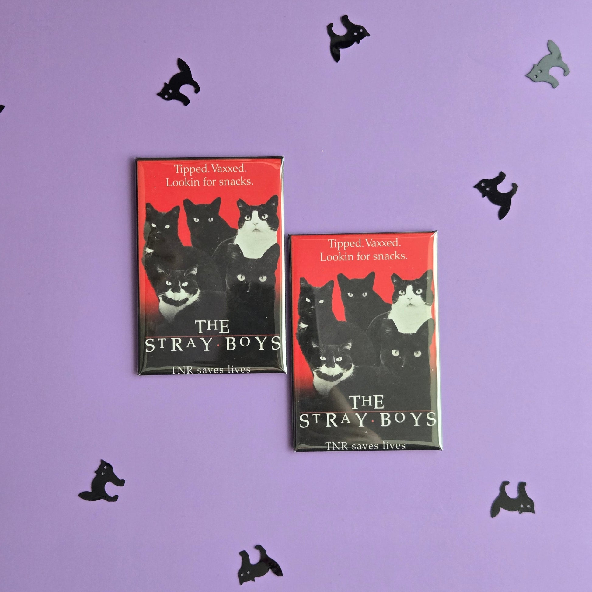 Two rectangular magnets with 'The Stray Boys' and all cat parody of The Lost Boys. displayed on a purple background with black cat illustrations.