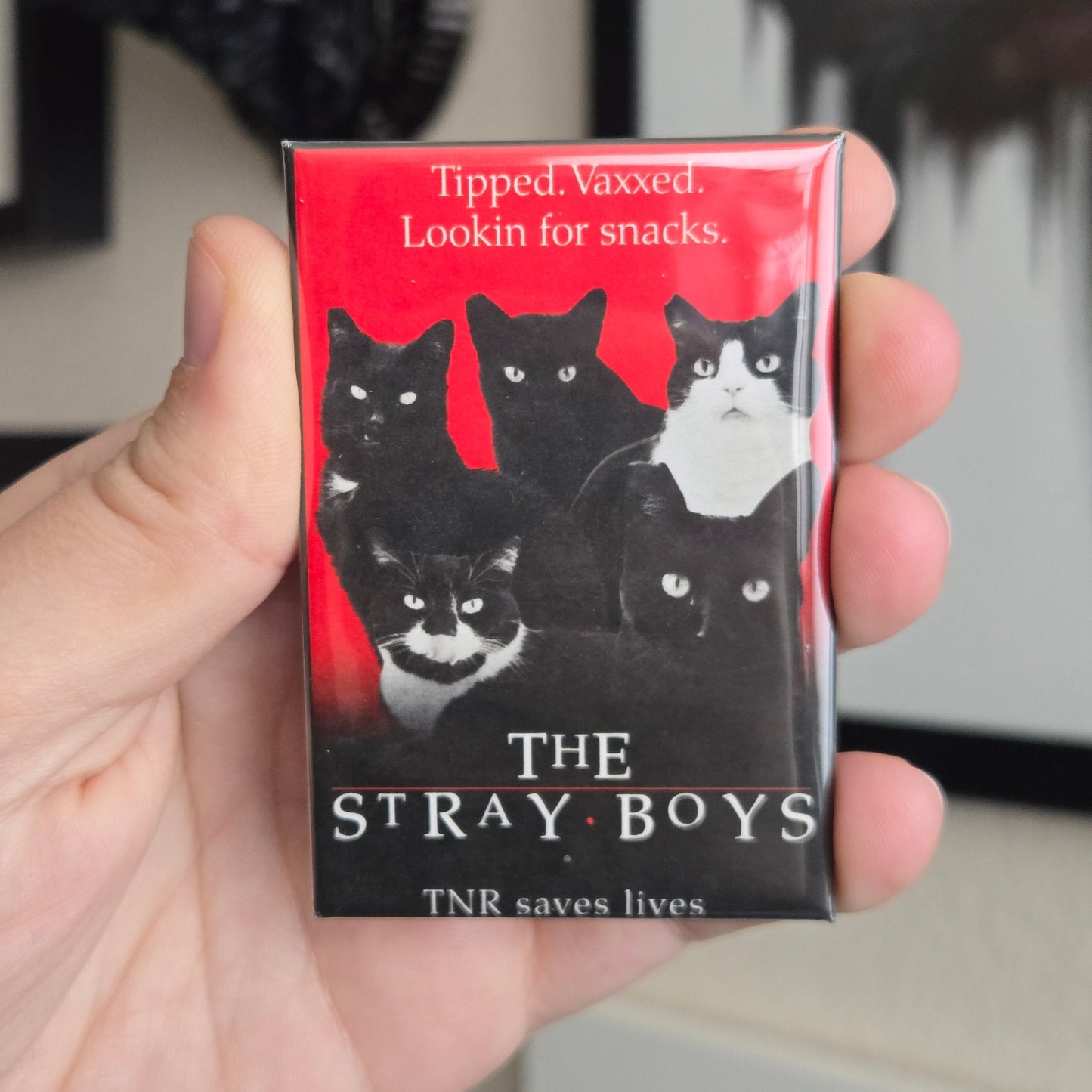 Hand holding a rectangular magnet with 'The Stray Boys' and all cat parody of The Lost Boys. 